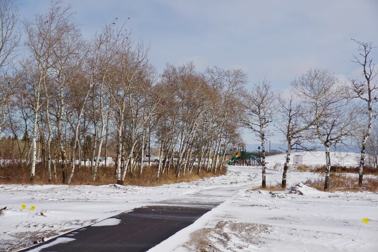 Edgemont Park Estates — Fraser Homes